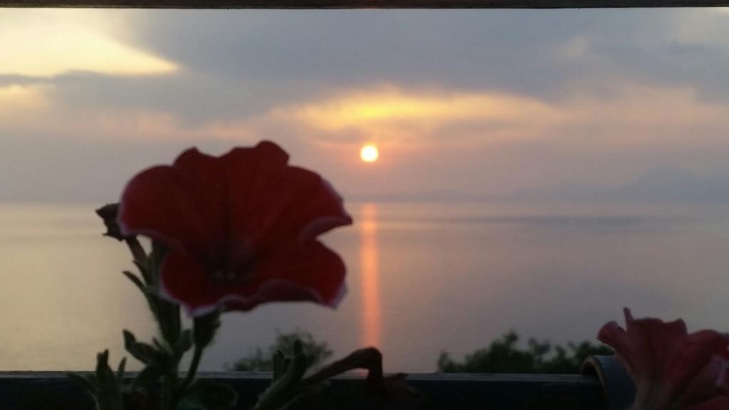 B&B "L'Eco Del Mare" Agropoli Exteriér fotografie